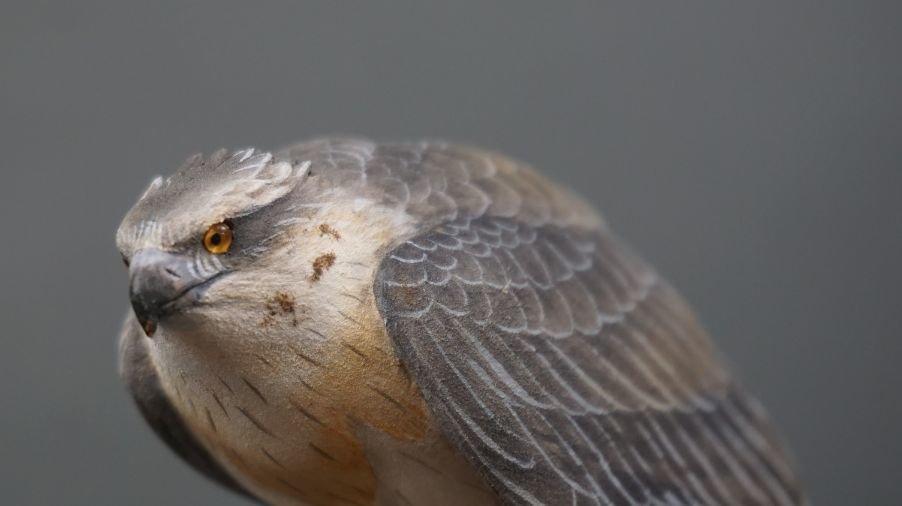 Image for Parkhurst Estate Online Auction Session Three