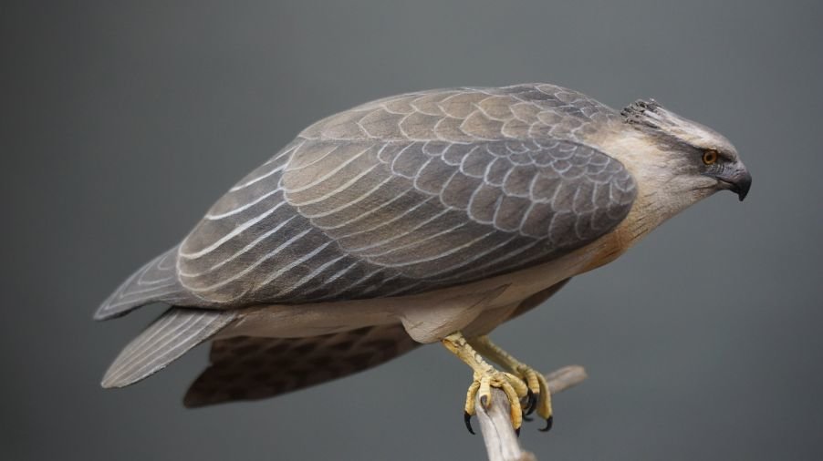 Image for Parkhurst Estate Online Auction Session Three