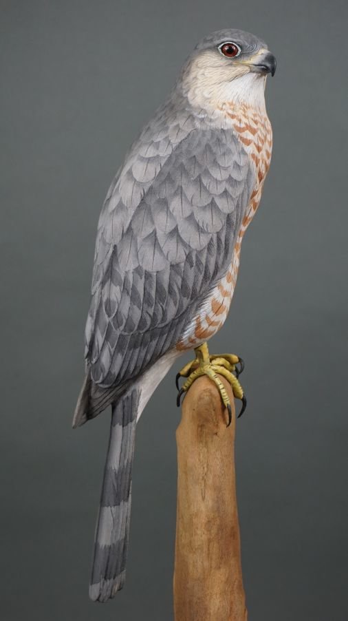 Image for Parkhurst Estate Online Auction Session Three