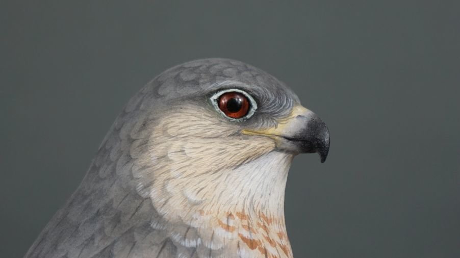 Image for Parkhurst Estate Online Auction Session Three