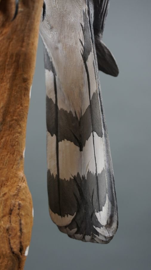 Image for Parkhurst Estate Online Auction Session Three