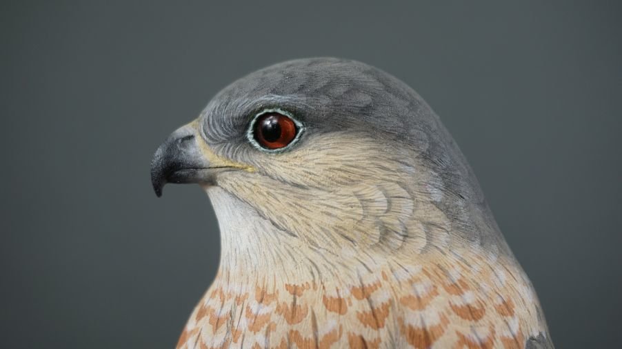 Image for Parkhurst Estate Online Auction Session Three