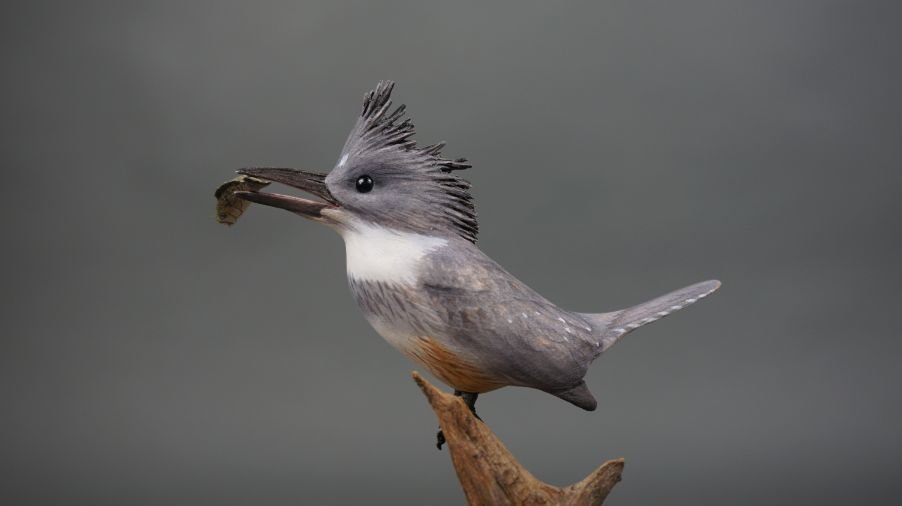 Image for Parkhurst Estate Online Auction Session Three