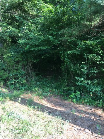 Image for ~~ Sold~ ~ 52 Acres Dexterville Gilstrap Rd Butler County, Kentucky