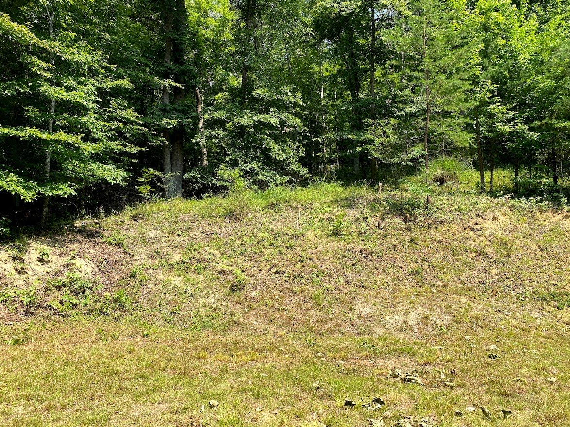 Image for Absolute Real Estate Auction