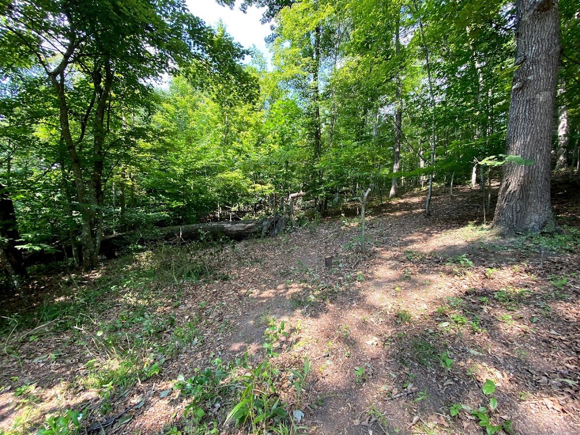 Image for Absolute Real Estate Auction