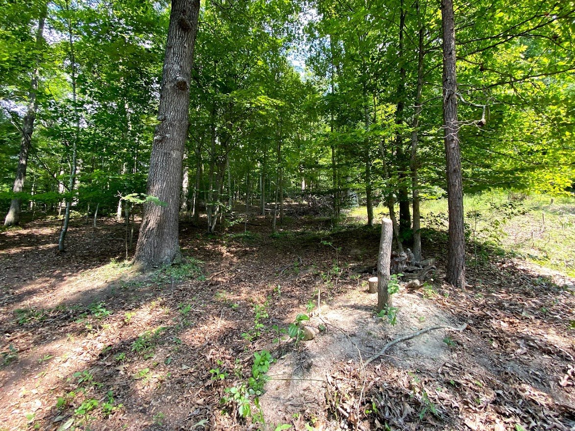 Image for Absolute Real Estate Auction