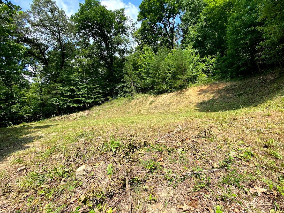 Image for Absolute Real Estate Auction