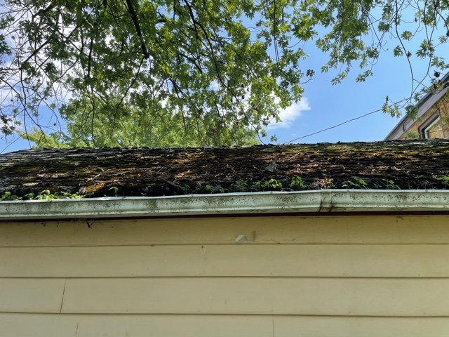 Image for 199 LASALLE AVE KENMORE, NY 14217