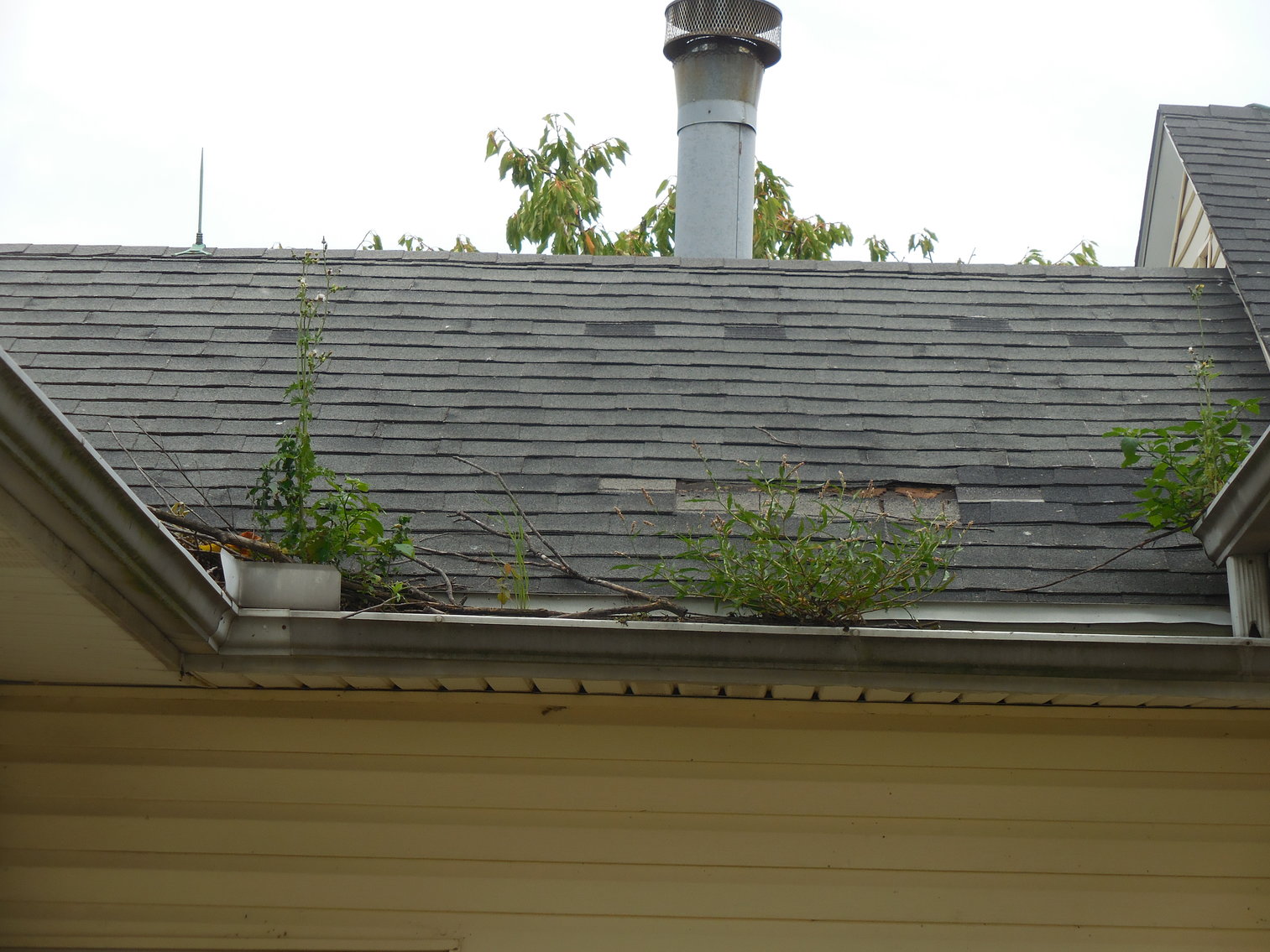 Image for 24859 North Dixie Highway, Perrysburg, Ohio 43551