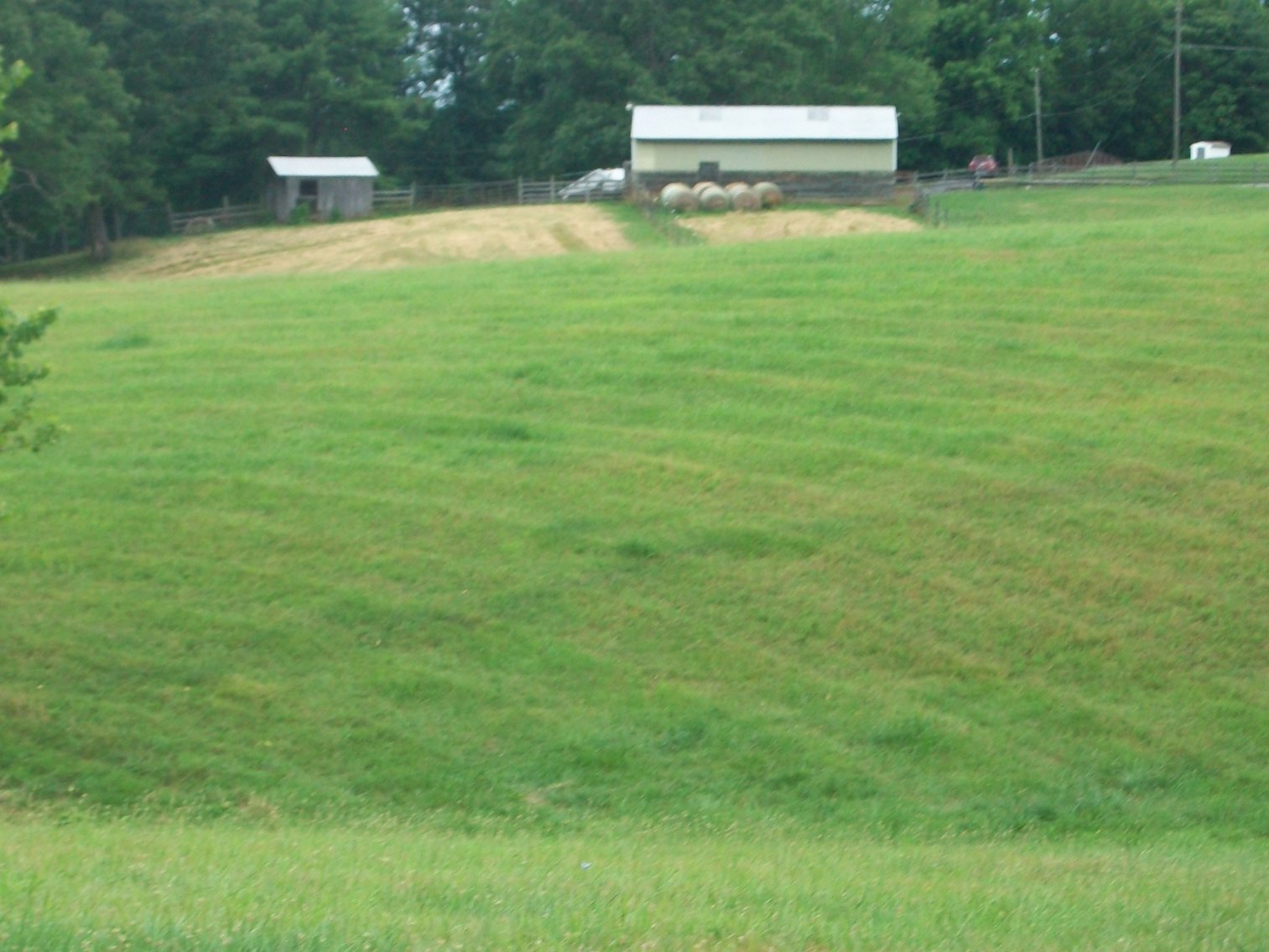 Image for ESTATE OF BOB HOLMBURG AUCTION - RUSTBURG VA