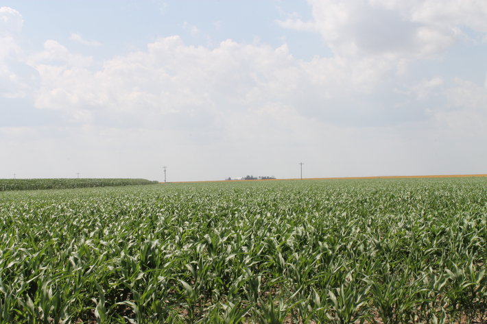 Image for SHERMAN COUNTY, KS - IRRIGATED/CROPLAND/GRASS {C4066}