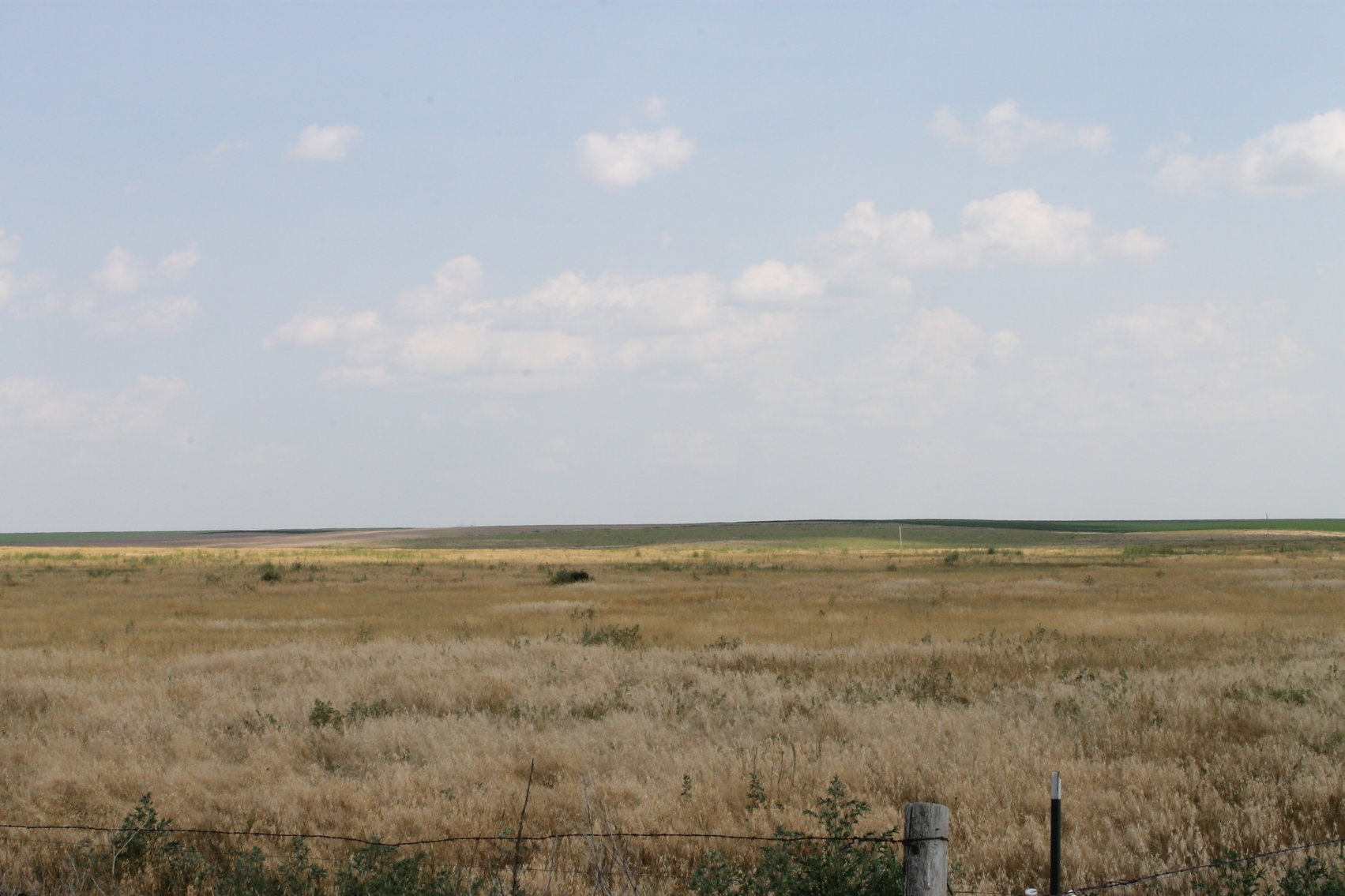 Image for SHERMAN COUNTY, KS - IRRIGATED/CROPLAND/GRASS {C4066}