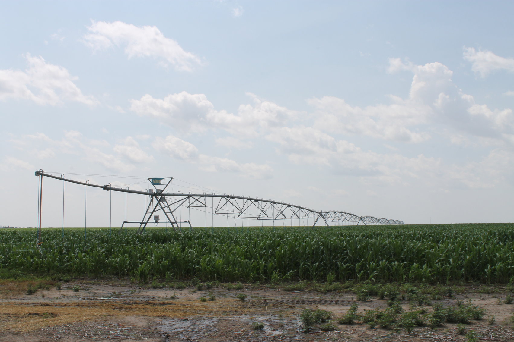 Image for SHERMAN COUNTY, KS - IRRIGATED/CROPLAND/GRASS {C4066}