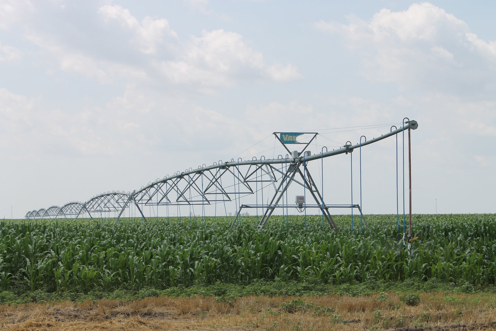 Image for SHERMAN COUNTY, KS - IRRIGATED/CROPLAND/GRASS {C4066}