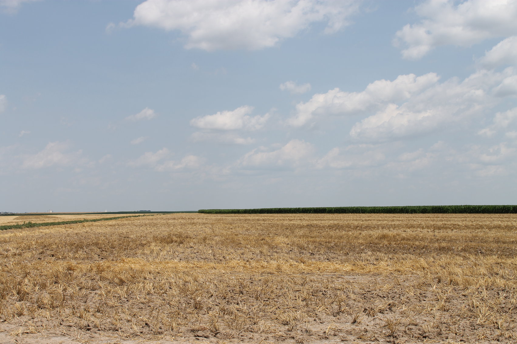 Image for SHERMAN COUNTY, KS - IRRIGATED/CROPLAND/GRASS {C4066}