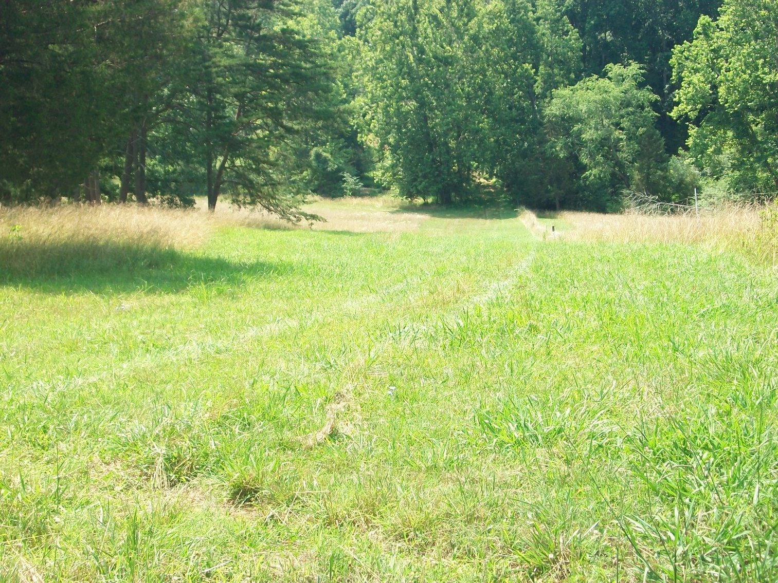 Image for ESTATE OF BOB HOLMBURG AUCTION - RUSTBURG VA