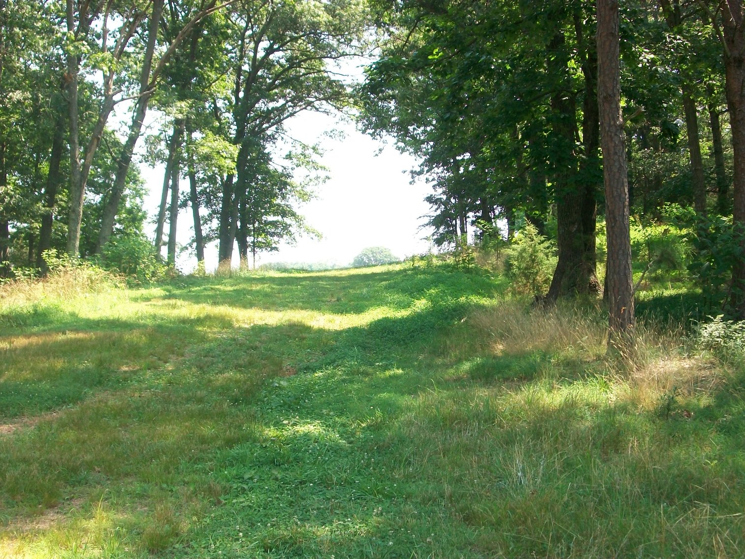 Image for ESTATE OF BOB HOLMBURG AUCTION - RUSTBURG VA