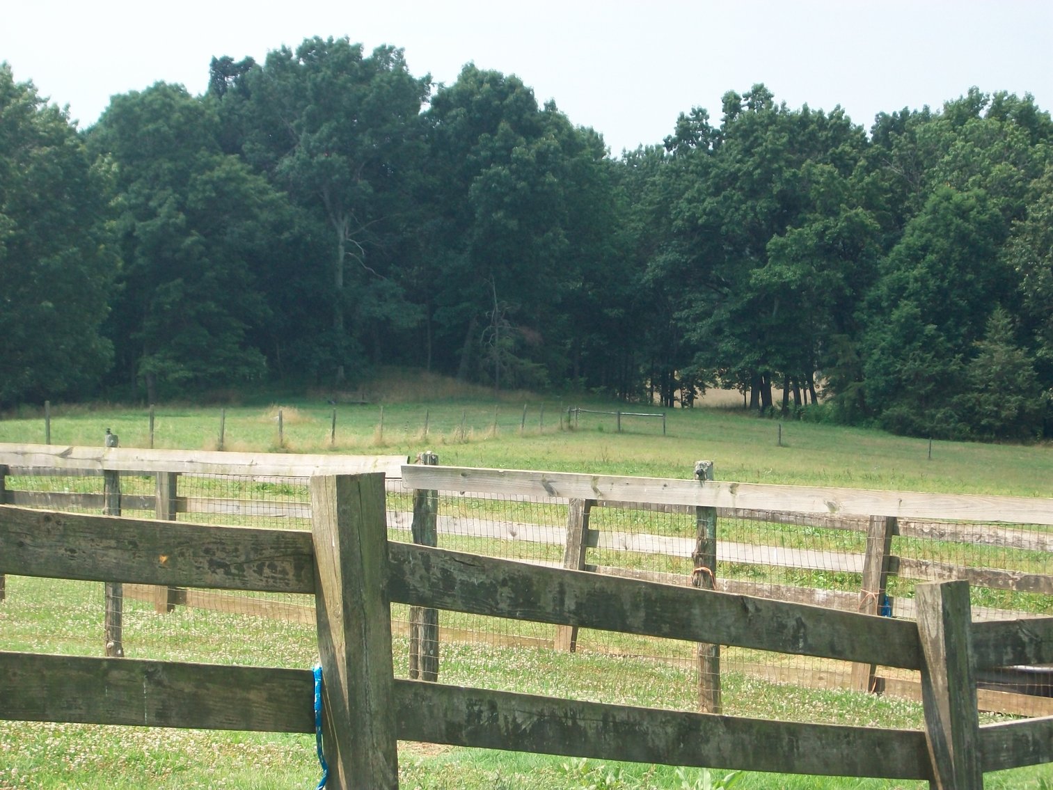 Image for ESTATE OF BOB HOLMBURG AUCTION - RUSTBURG VA