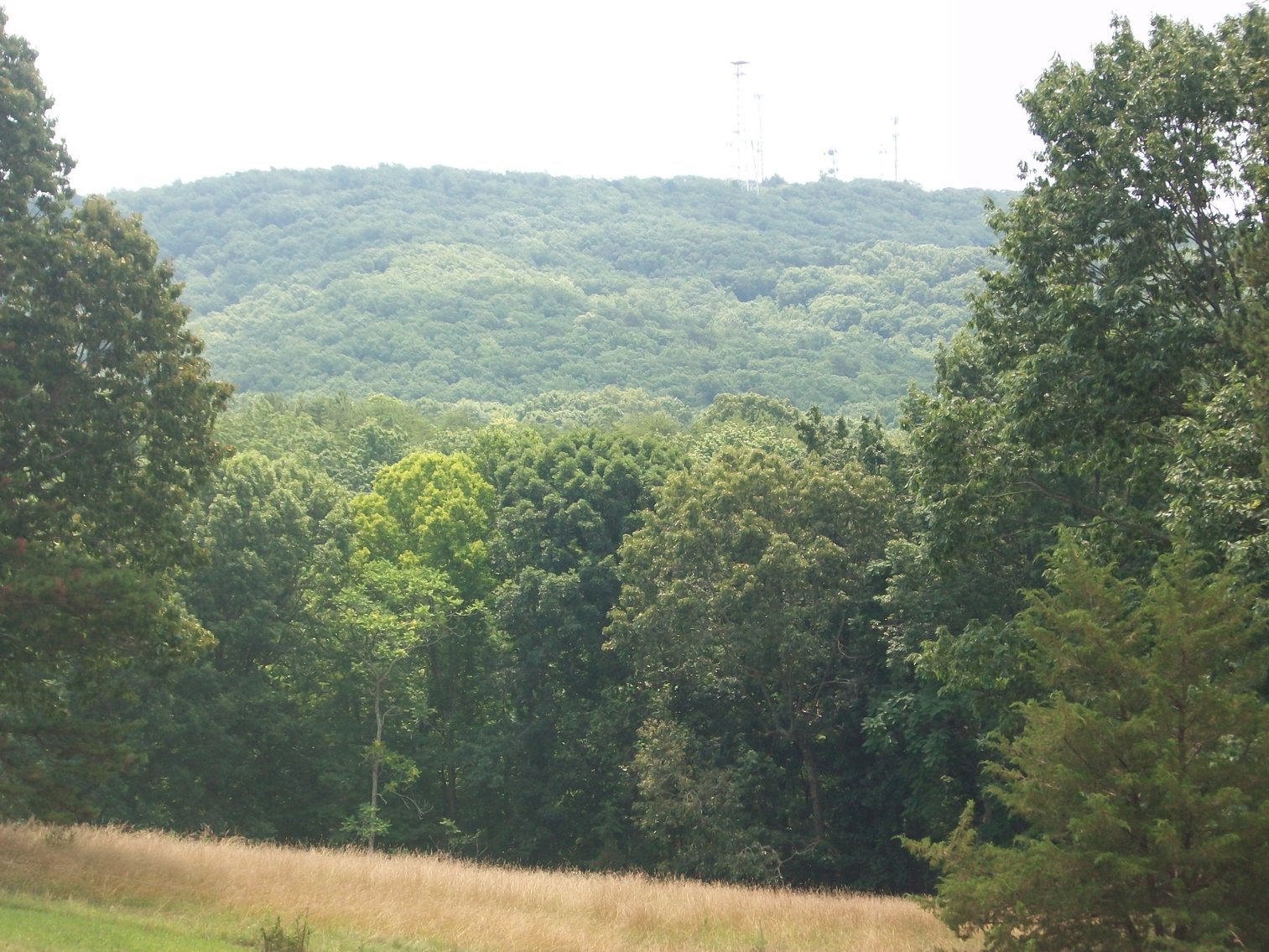 Image for ESTATE OF BOB HOLMBURG AUCTION - RUSTBURG VA