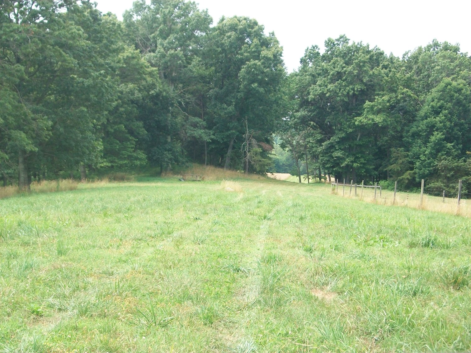 Image for ESTATE OF BOB HOLMBURG AUCTION - RUSTBURG VA