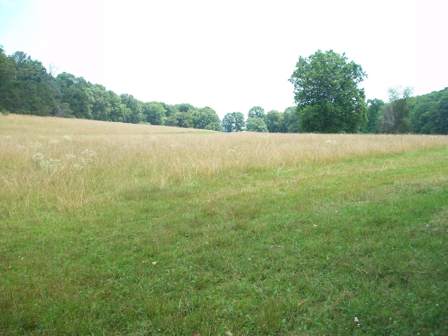 Image for ESTATE OF BOB HOLMBURG AUCTION - RUSTBURG VA