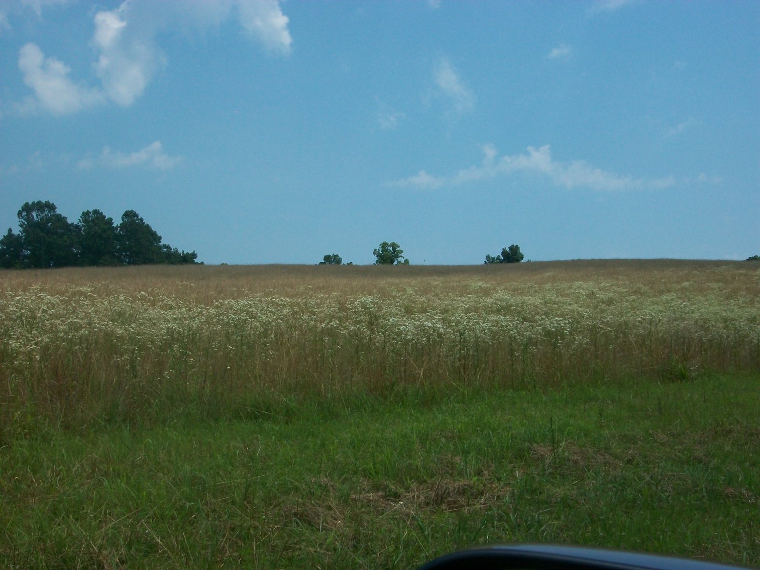 Image for ESTATE OF BOB HOLMBURG AUCTION - RUSTBURG VA