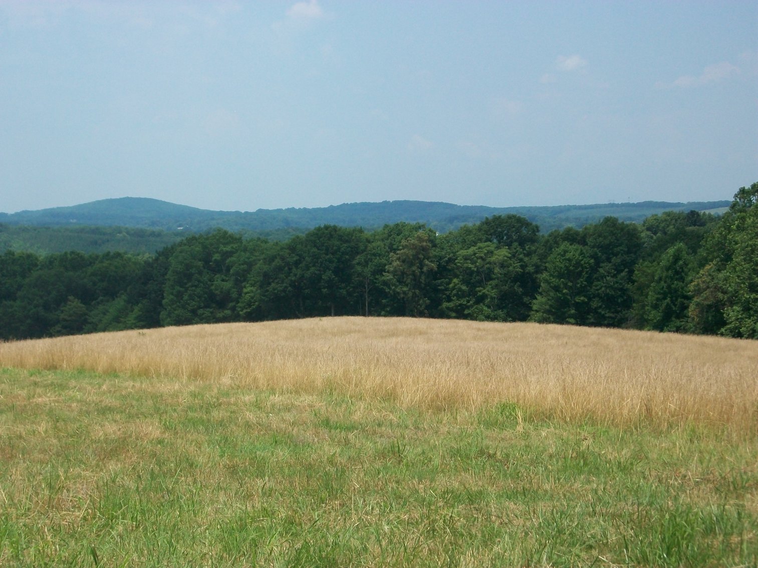 Image for ESTATE OF BOB HOLMBURG AUCTION - RUSTBURG VA