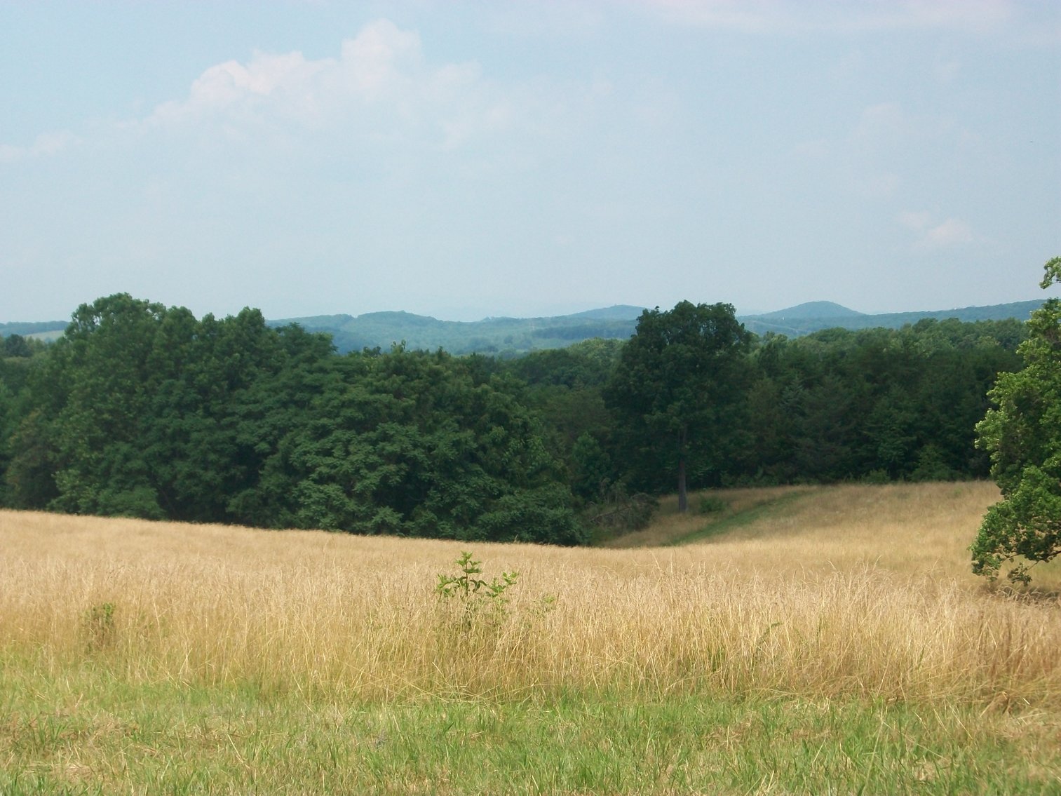 Image for ESTATE OF BOB HOLMBURG AUCTION - RUSTBURG VA