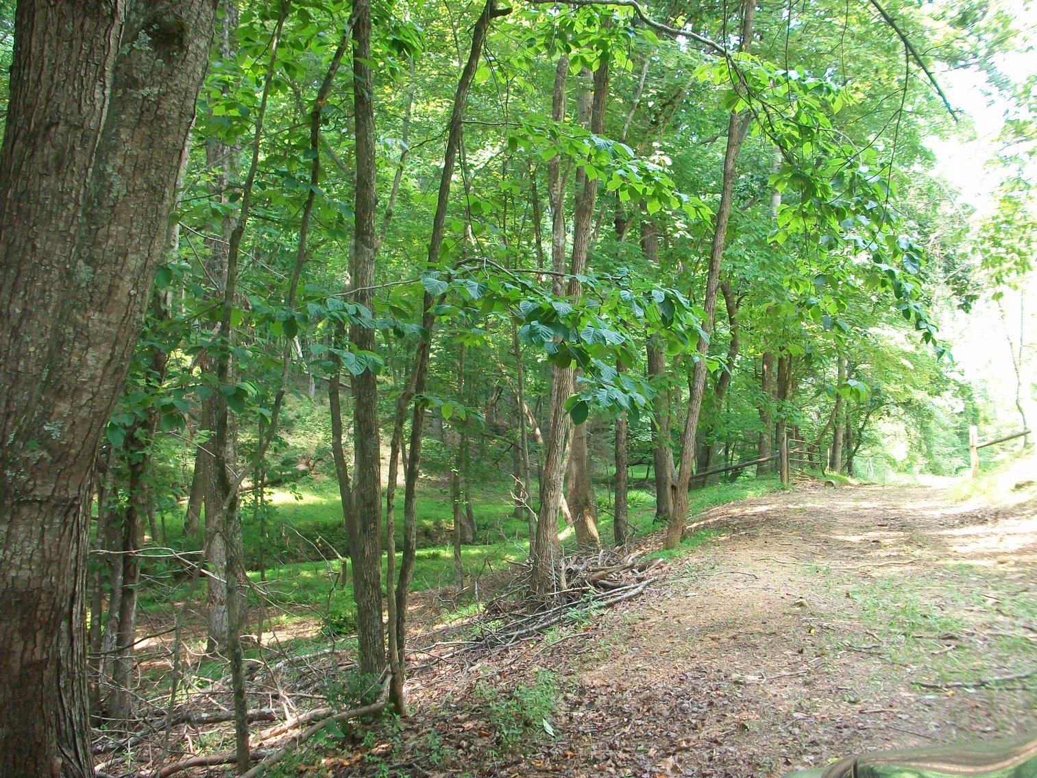 Image for ESTATE OF BOB HOLMBURG AUCTION - RUSTBURG VA