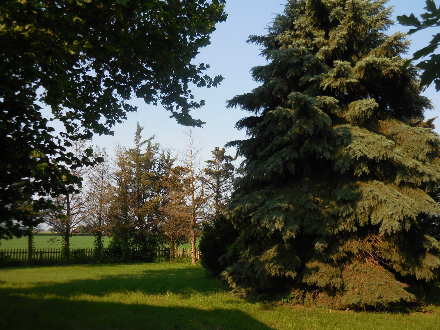 Image for 5423 County Road 10, Wauseon, Ohio 43567