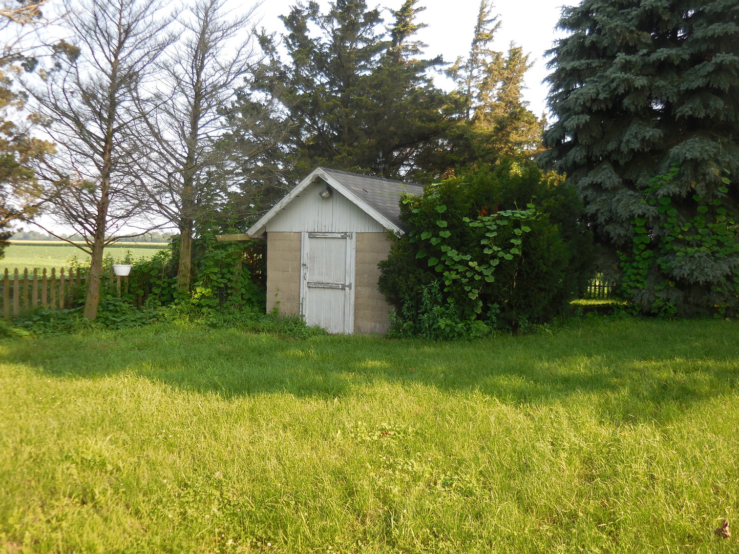 Image for 5423 County Road 10, Wauseon, Ohio 43567