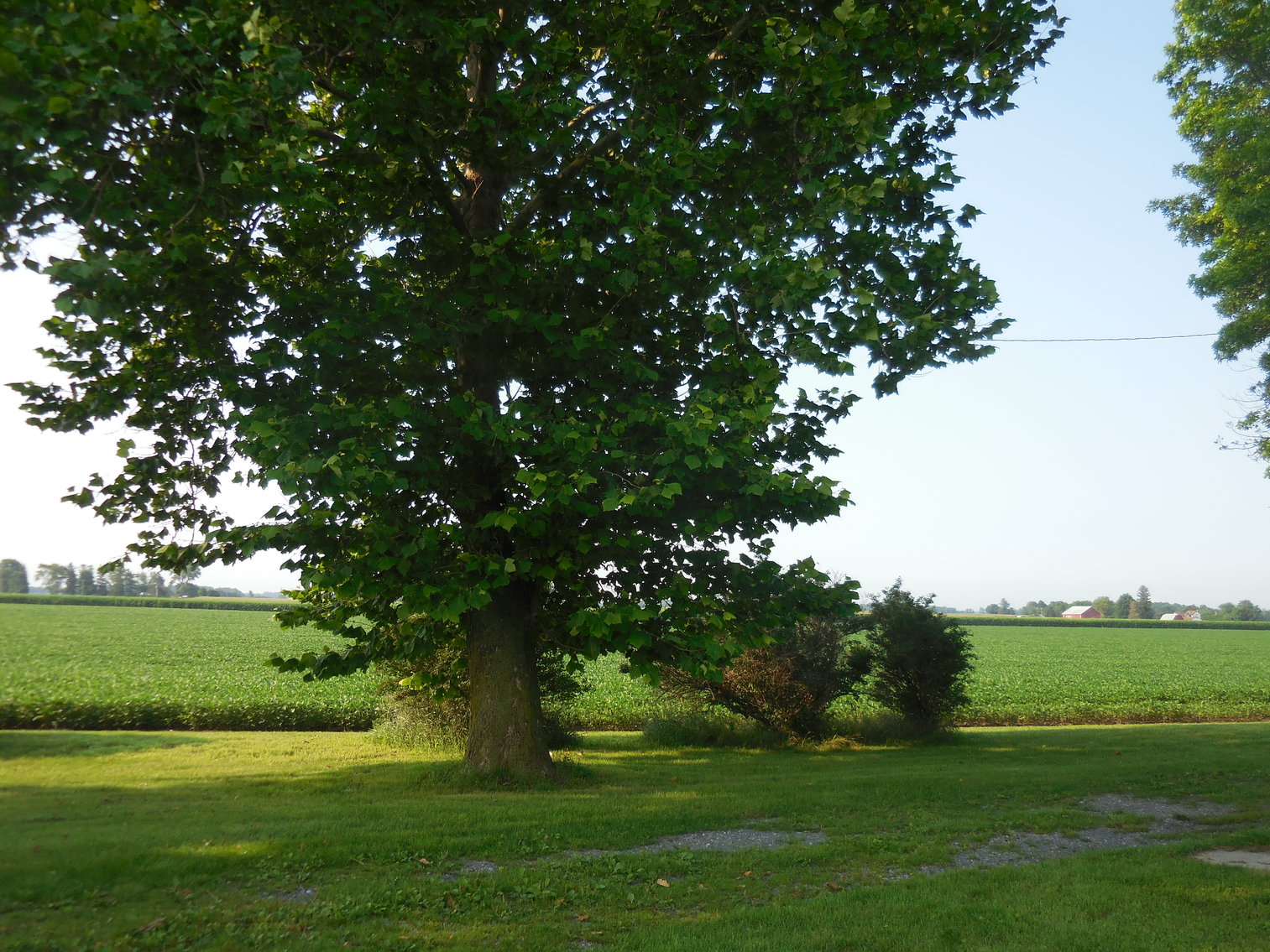 Image for 5423 County Road 10, Wauseon, Ohio 43567