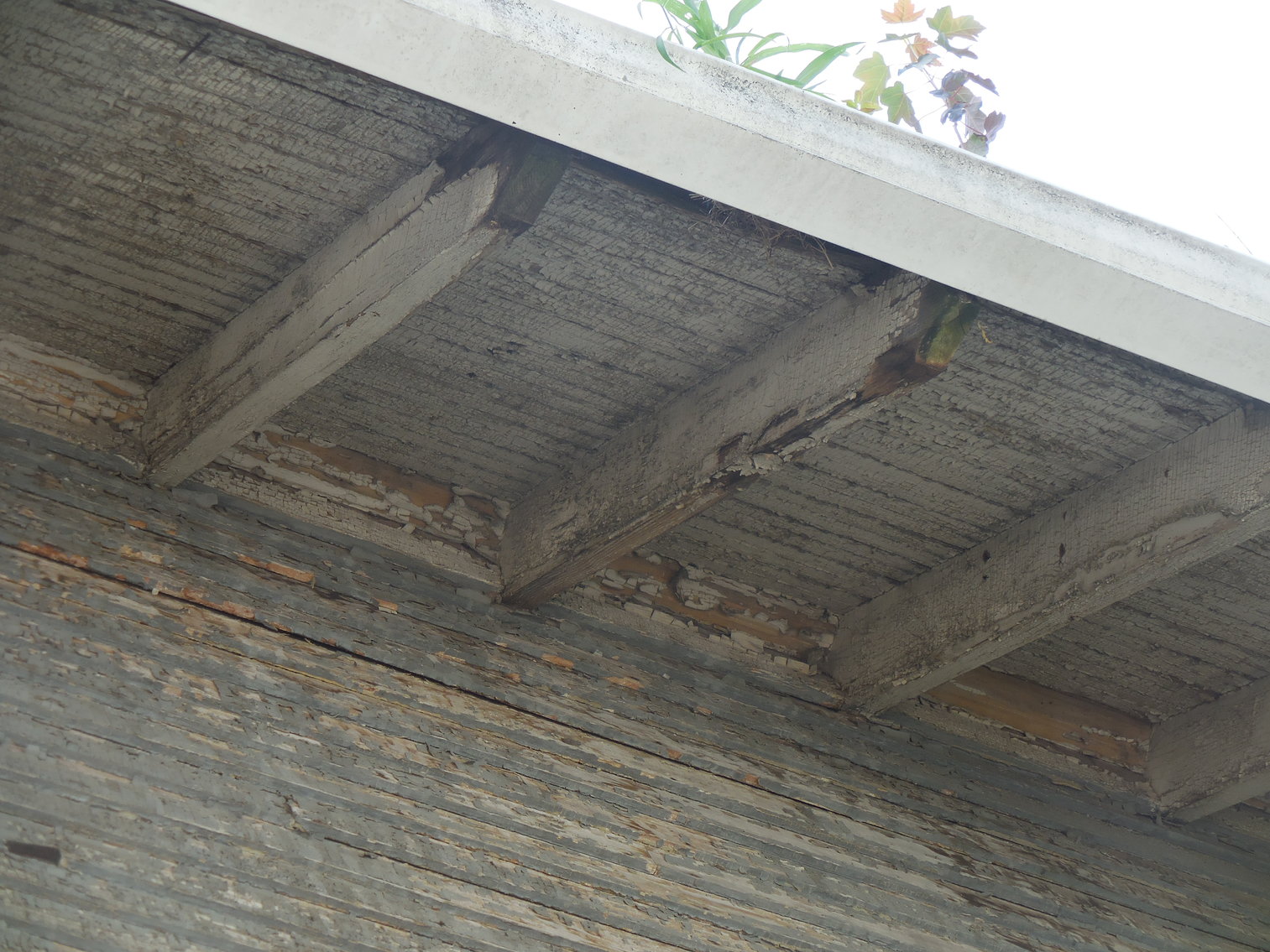 Image for 2530 Robinwood Avenue, Toledo, Ohio 43610