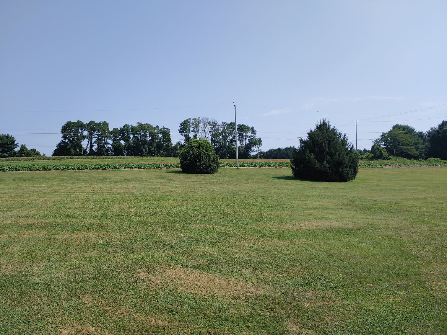 Image for 4 BR, 2.5 BA RANCHER W/ ATT. 2 CAR GARAGE MOVE IN CONDITION ON 2.15+/- AC LOT W/ GLASSWARE, ANTIQUES, FURNITURE & MORE