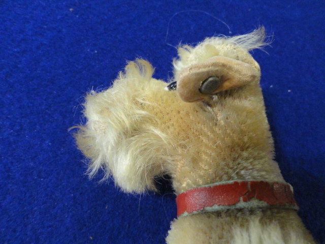 Image for Aug 5, 2021 Public Auction