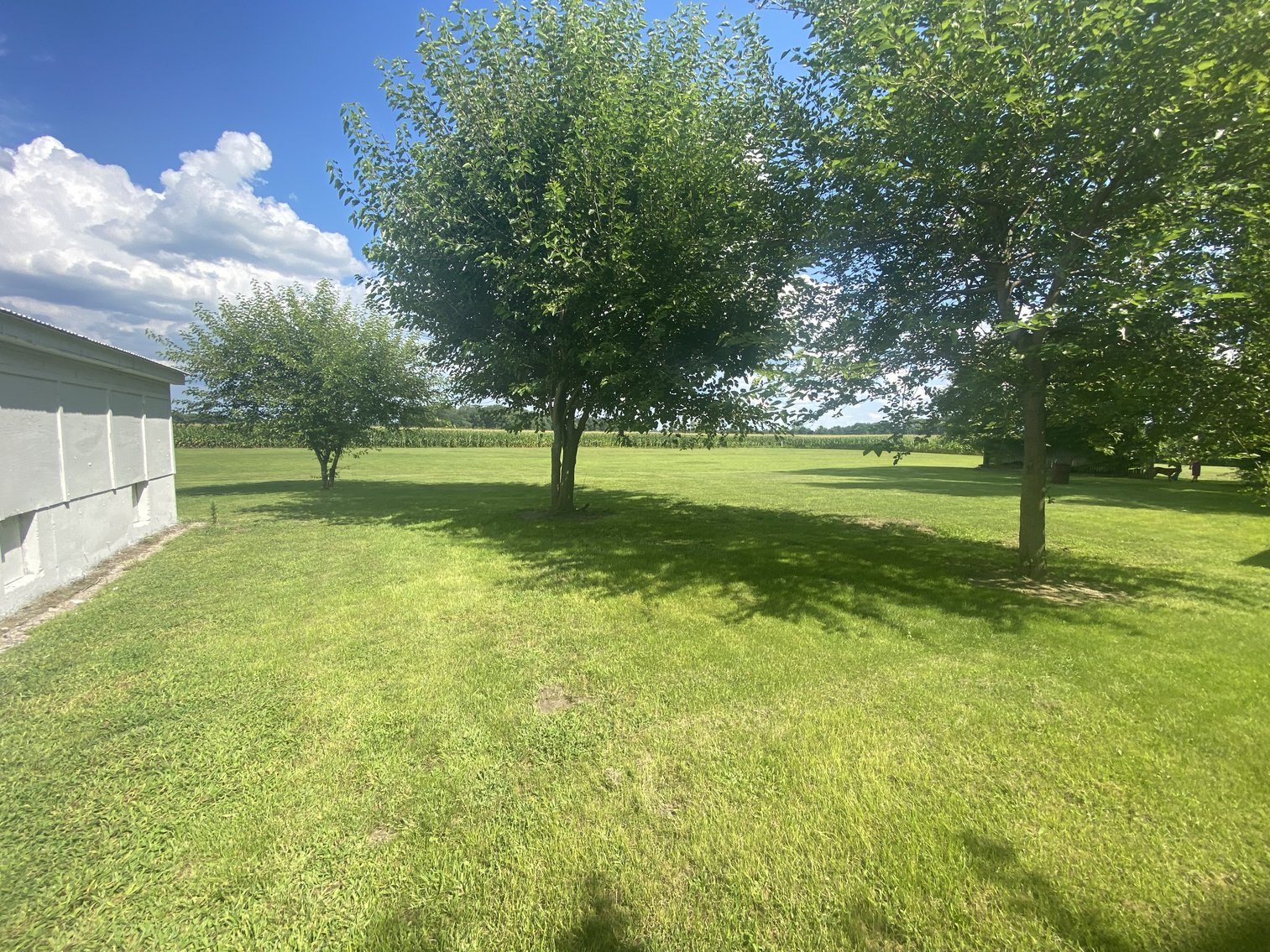 Image for 9655 Yawberg Road, Grand Rapids, Ohio 43522