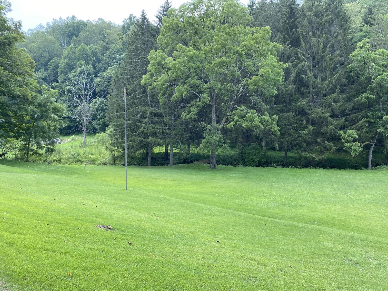 Image for SOLD $69,300 - Well-Maintained 3-Bedroom on 9.75 Acres