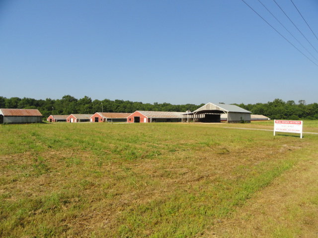 Image for Real Estate Auction - Poultry Farm
