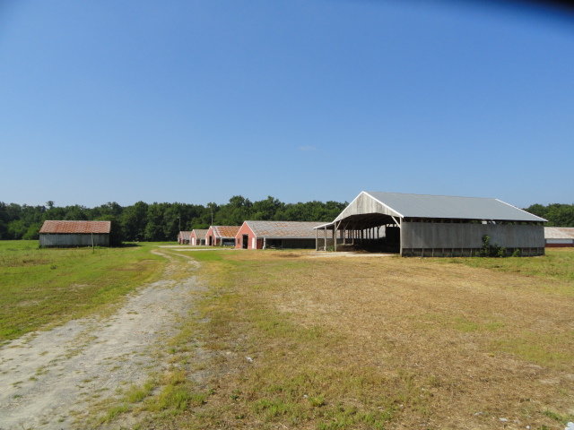 Image for Real Estate Auction - Poultry Farm