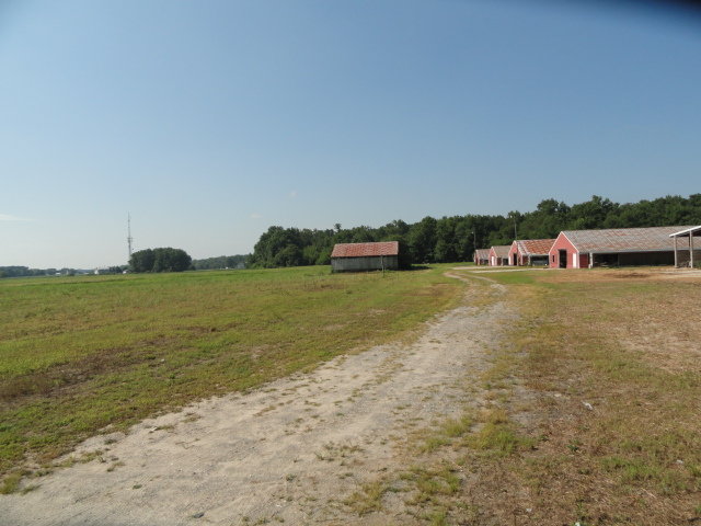 Image for Real Estate Auction - Poultry Farm