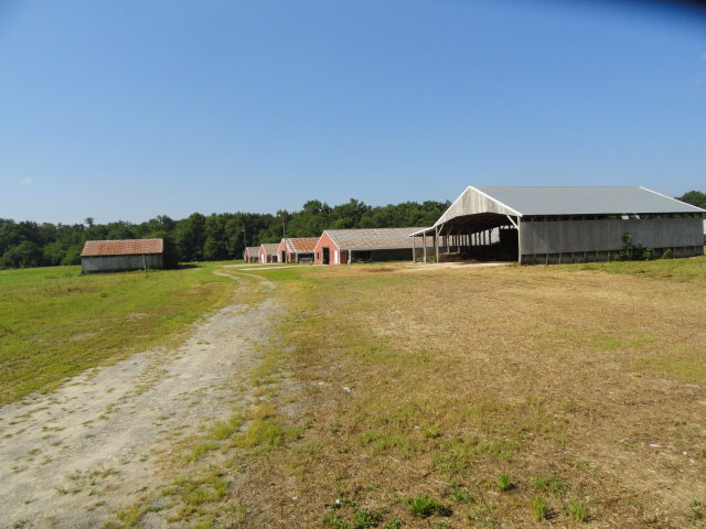 Image for Real Estate Auction - Poultry Farm