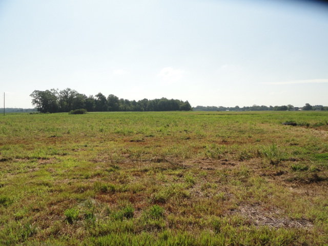 Image for Real Estate Auction - Poultry Farm