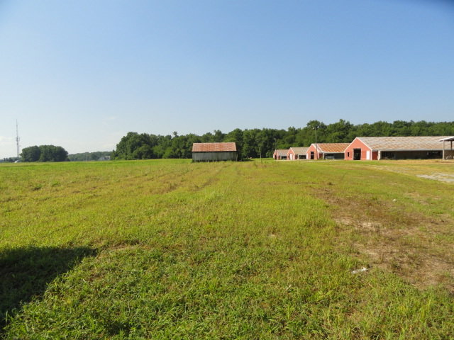 Image for Real Estate Auction - Poultry Farm