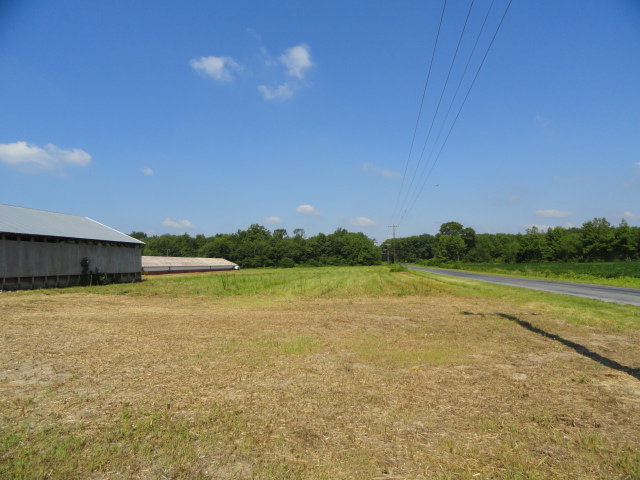 Image for Real Estate Auction - Poultry Farm