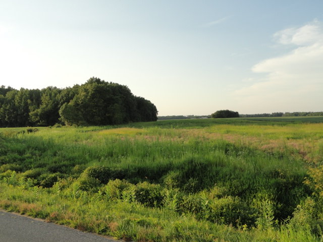 Image for Real Estate Auction - Poultry Farm