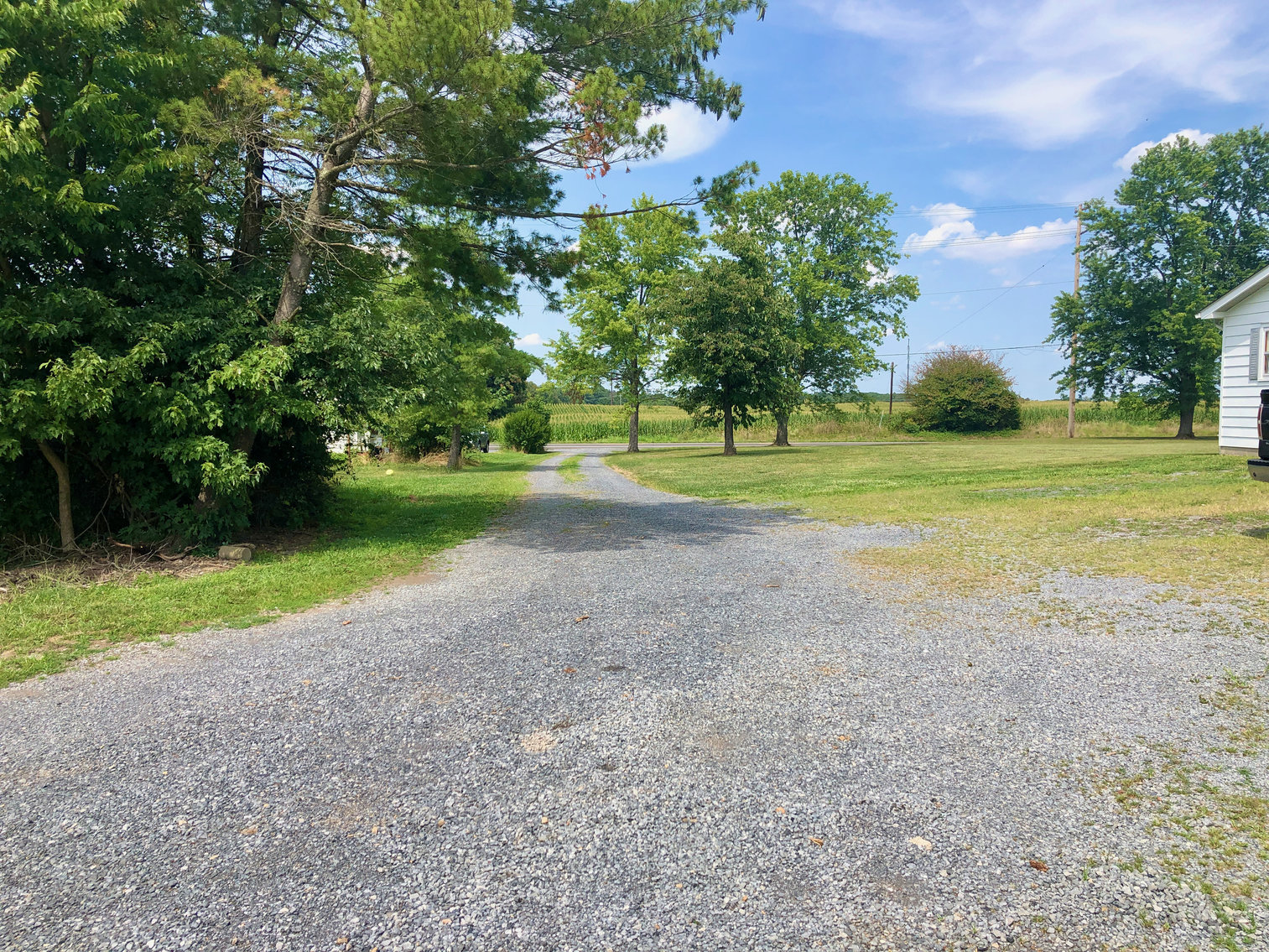 Image for 3 BR/1 BA Home w/2 Quality Shop/Garage Buildings on 3.25 +/- Acres Near I-81 & 66 in Frederick County, VA