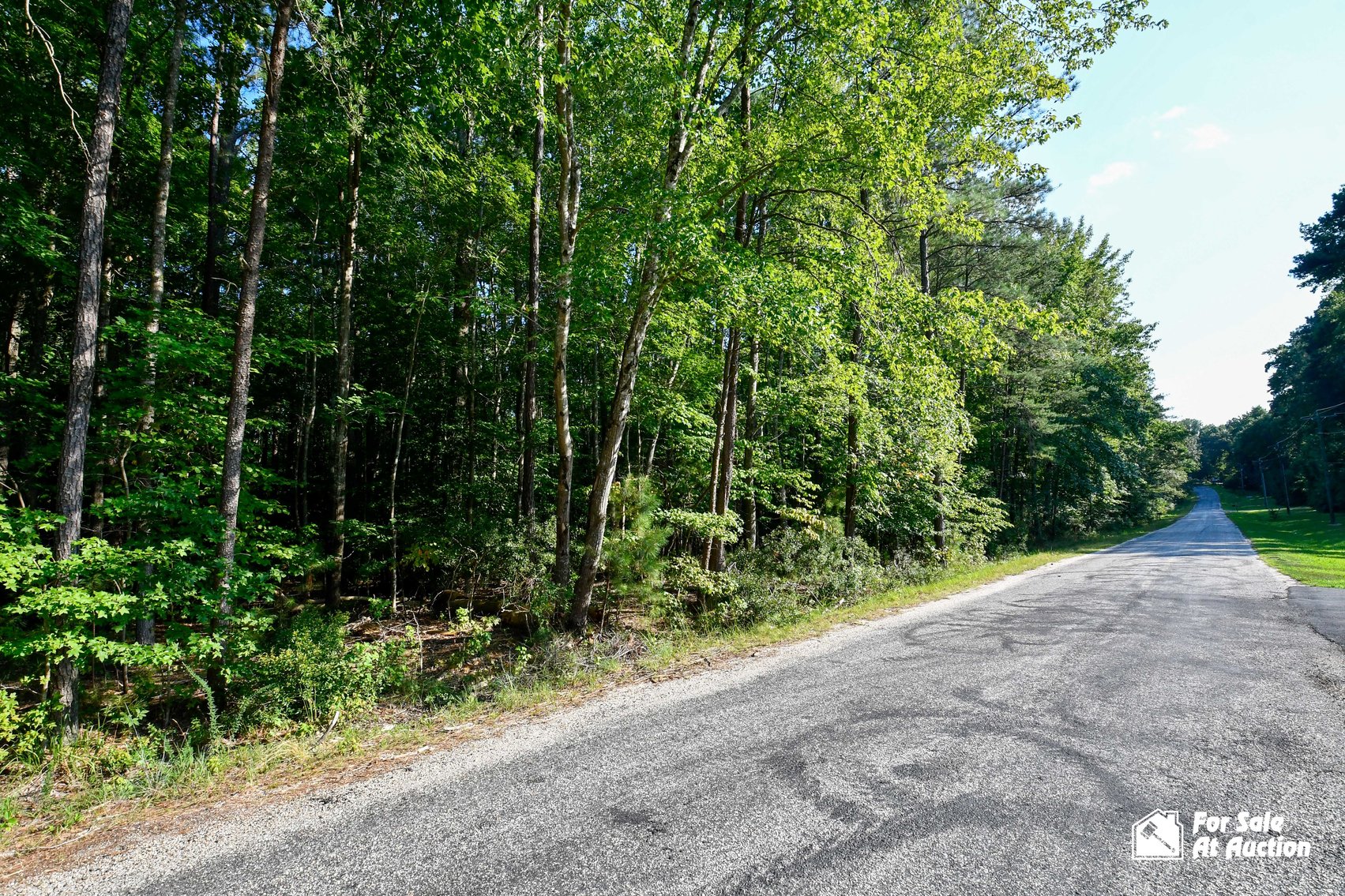 Image for Essex County VA Tax Delinquent Real Estate Auction