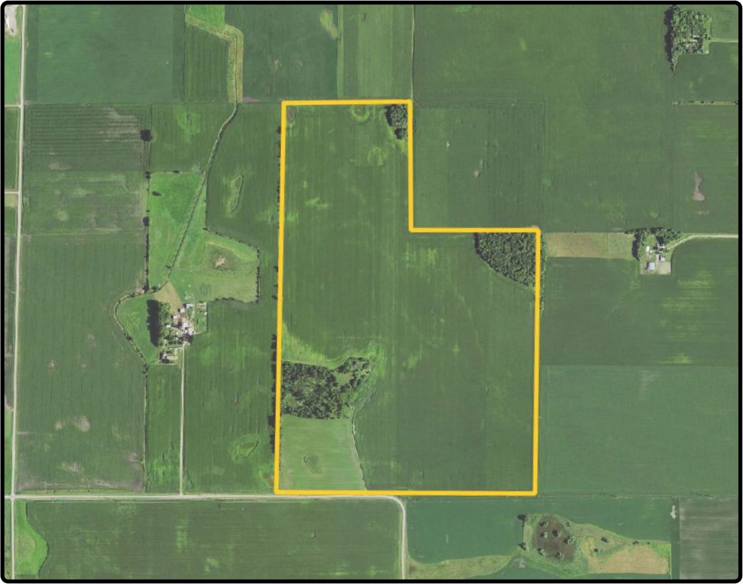 Parcel 1 Sibley Co., MN 200 Ac., m/l (190001901)