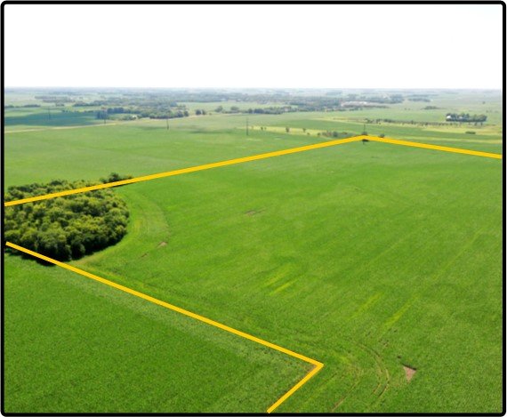 Image for Sale Pending - Sibley Co., MN - 354.30 Ac., m/l (190-0019)